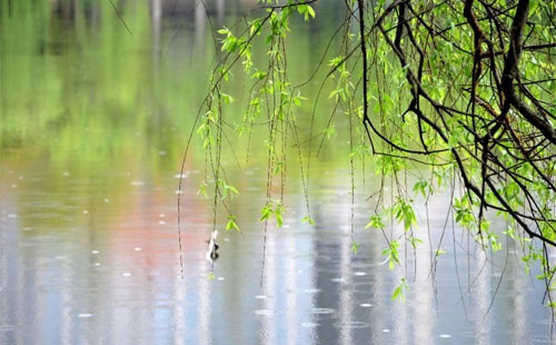 雨中的守护者 —— 珍珠棉的应用实践